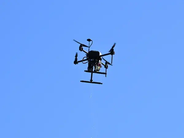 bureau d'études drones, Pilotes drones professionnels
