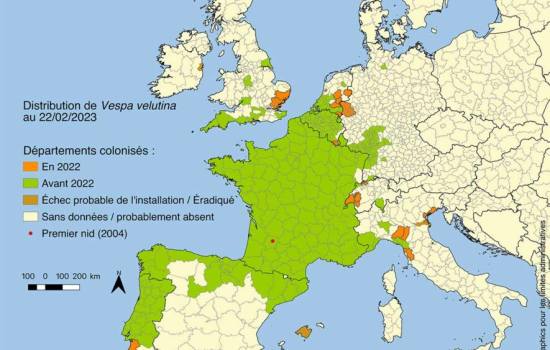 départements colonisés avant 2022. En orange : départements nouvellement colonisés en 2022. Le point rouge indique le premier nid observé en 2004 (Lot-et-Garonne).